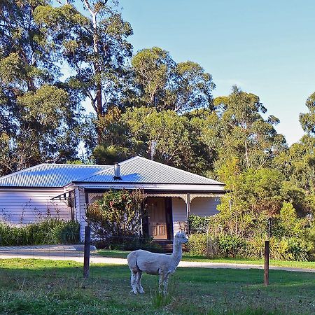 Araluen Park Cottages Lakes Entrance Buitenkant foto