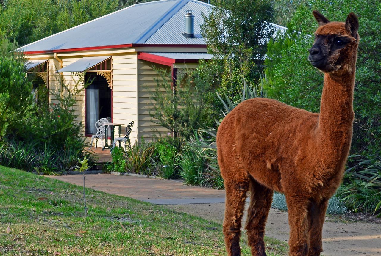 Araluen Park Cottages Lakes Entrance Buitenkant foto