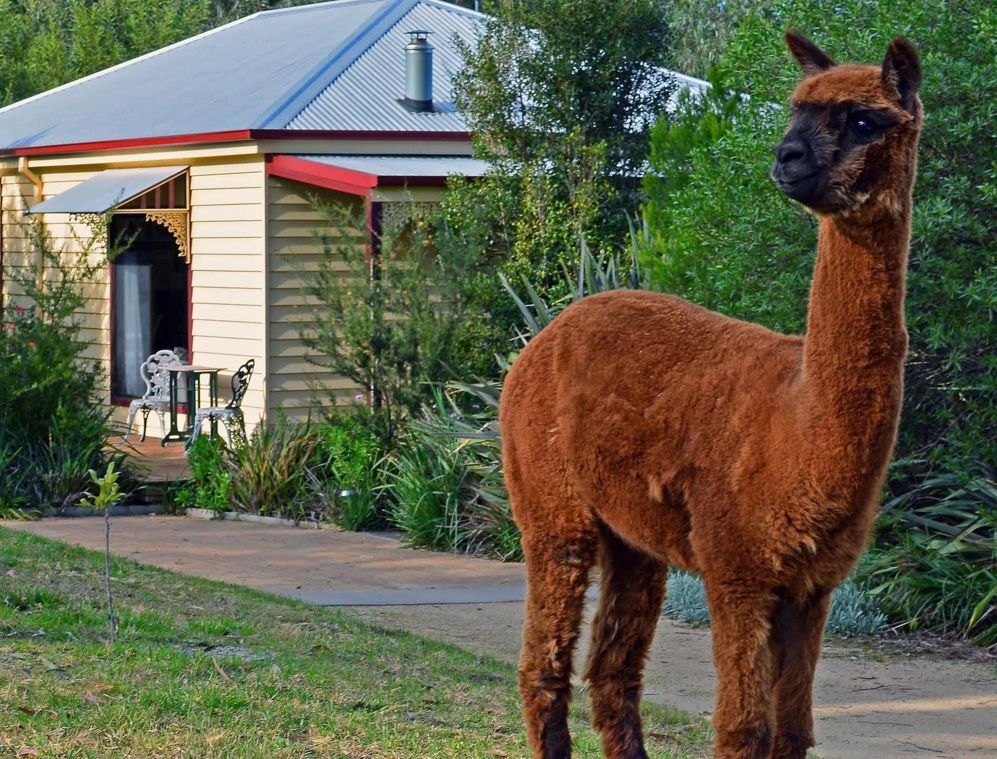 Araluen Park Cottages Lakes Entrance Buitenkant foto