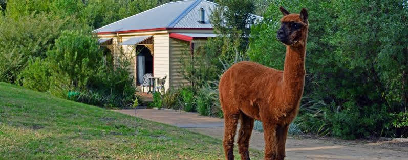 Araluen Park Cottages Lakes Entrance Buitenkant foto